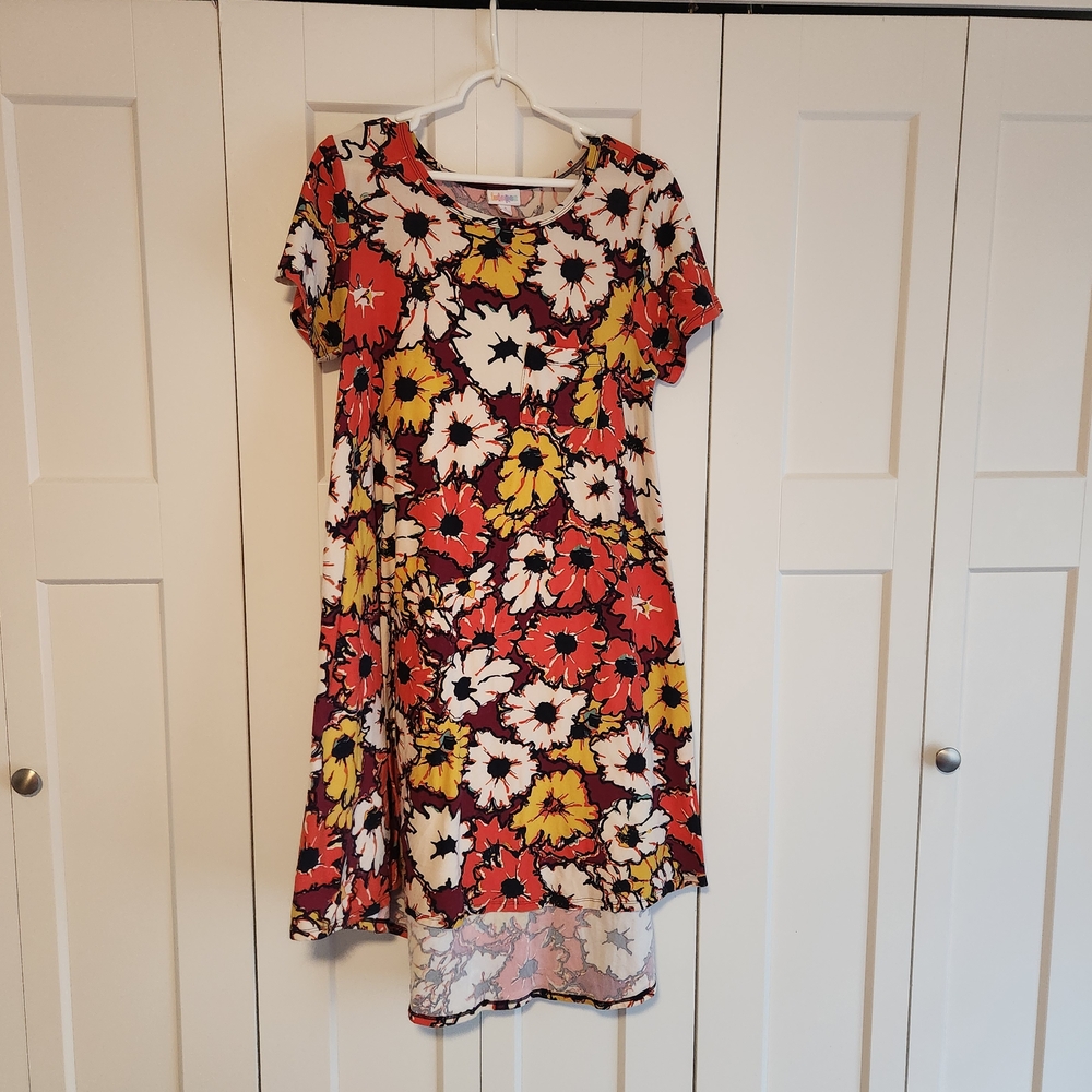 LuLaRoe Floral Dress Size Small
